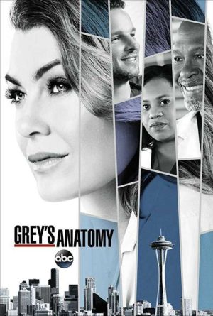 مسلسل Grey’s Anatomy الموسم 14 الحلقة 13