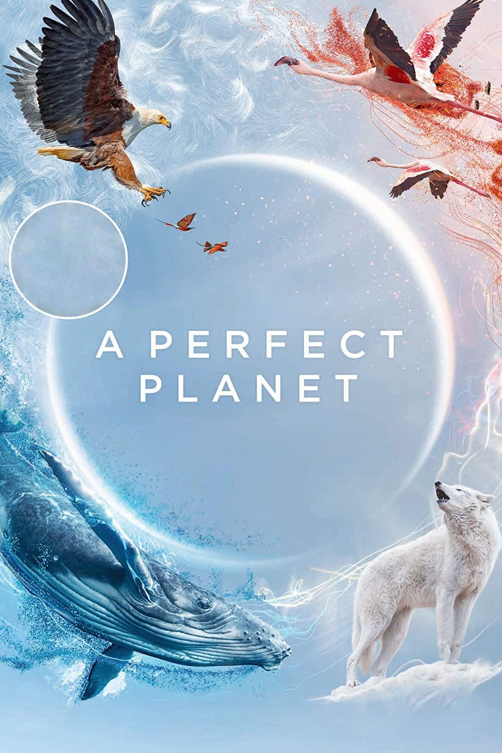 مسلسل A Perfect Planet الموسم الاول الحلقة 5 والاخيرة