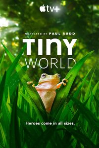 مسلسل Tiny World مترجم