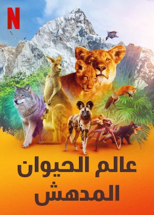 مسلسل Animal مترجم