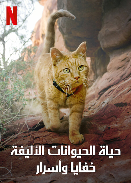 مسلسل The Hidden Lives of Pets الموسم الاول الحلقة 4 والاخيرة