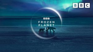 مسلسل Frozen Planet II الموسم الاول الحلقة 6