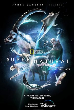 مسلسل Super/Natural مترجم