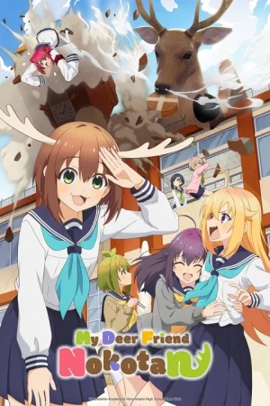 انمي Shikanoko Nokonoko Koshitantan الحلقة 12 والاخيرة مترجمة