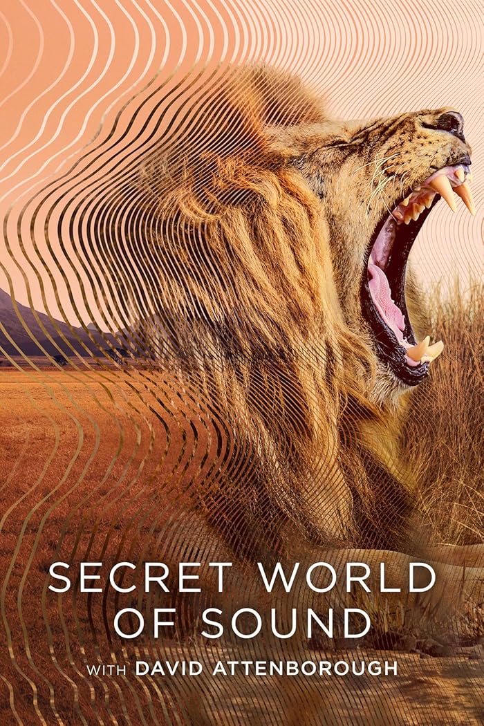مسلسل Secret World of Sound with David Attenborough الموسم الاول الحلقة 3 والاخيرة