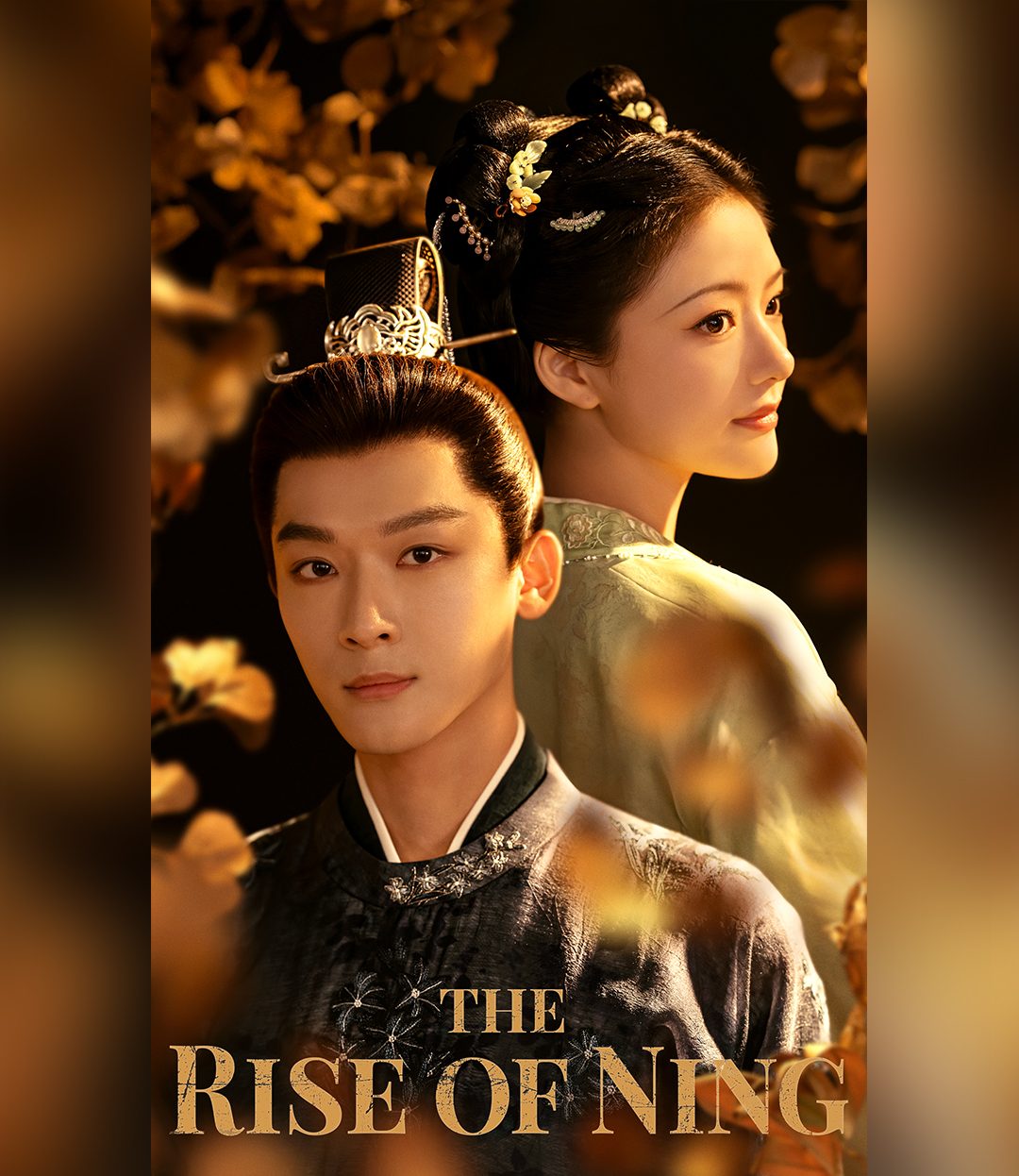 مسلسل صعود نينج  The Rise of Ning الحلقة 40 والاخيرة