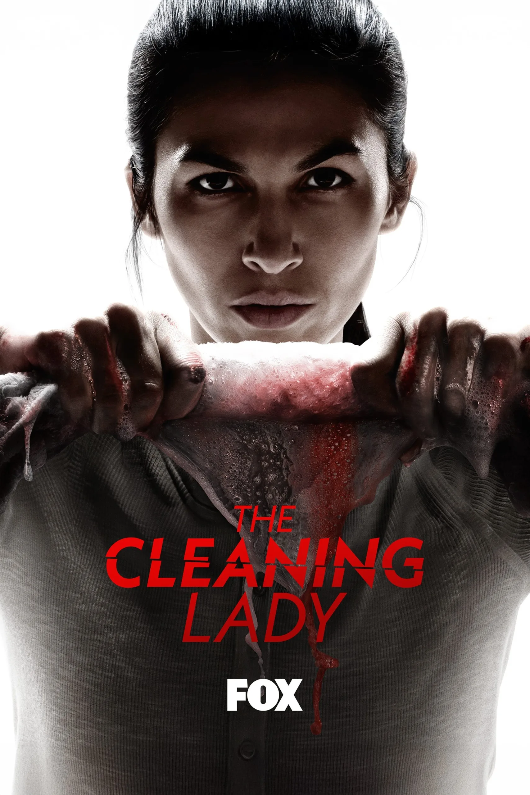 مسلسل The Cleaning Lady الموسم الرابع الحلقة 12 والاخيرة