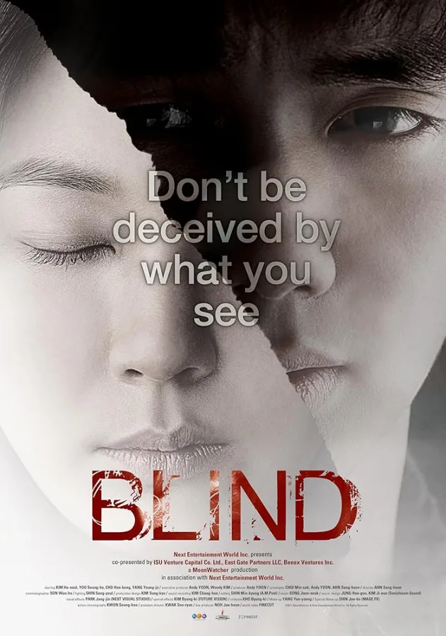 فيلم  Blind 2011 مترجم اون لاين