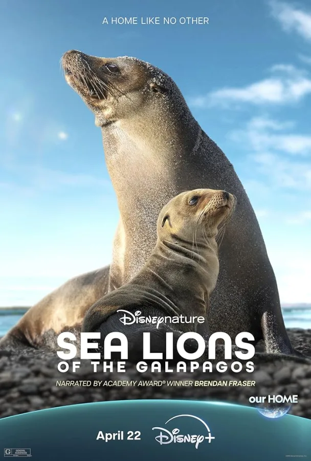 فيلم Sea Lions of the Galapagos 2025 مترجم اون لاين