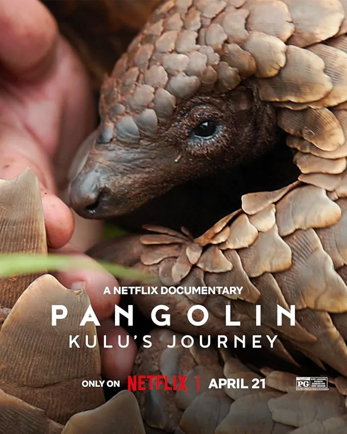 فيلم Pangolin: Kulu’s Journey 2025 مترجم اون لاين