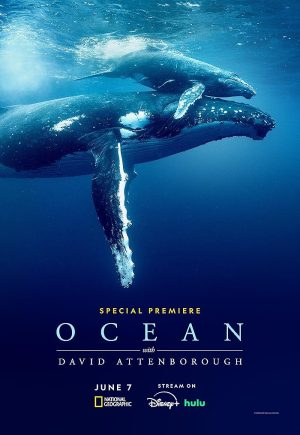 فيلم Ocean with David Attenborough 2025 مترجم اون لاين
